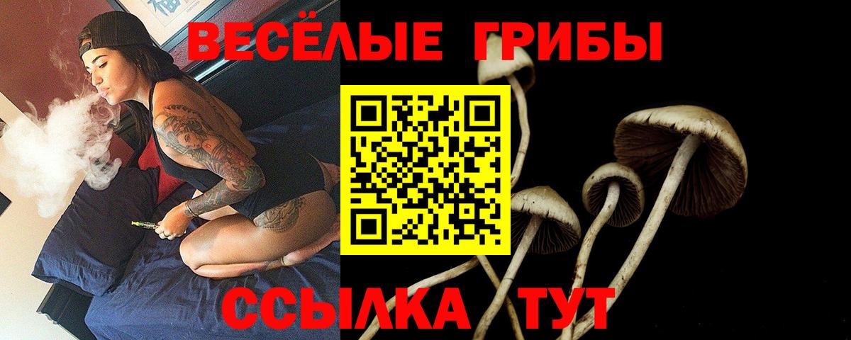 Галлюциногенные грибы Psilocybe  Вход с VPN  Кудрово 